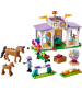 Lego Friends Konstruktors Zirgu apmācības 134 gb. 4+ 41746